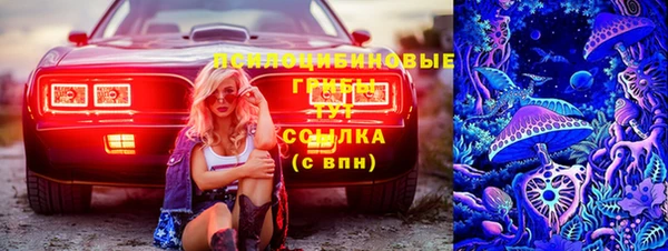 бошки Нефтекумск