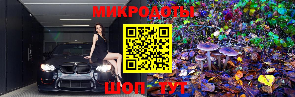 Псилоцибиновые грибы Cubensis Батайск